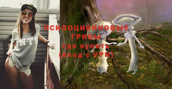 соль курить ск Балахна