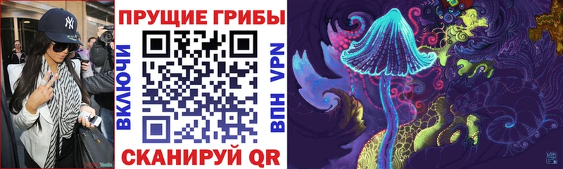 где продают Белогорск это как зайти Галлюциногенные грибы GOLDEN TEACHER